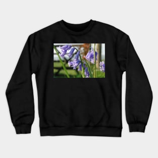 English Bluebells Crewneck Sweatshirt